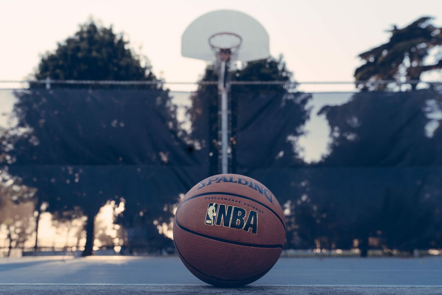 The 10+ Different Types Of Basketballs And What Kind Is Right For You